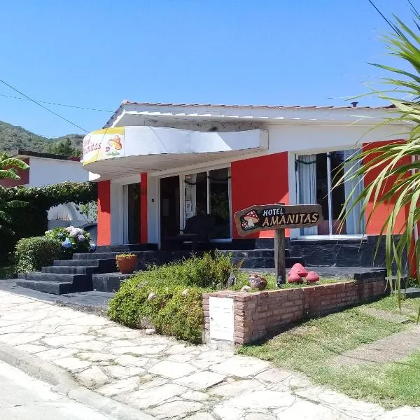 Amanitas Hotel, hotel v destinaci Villa Carlos Paz