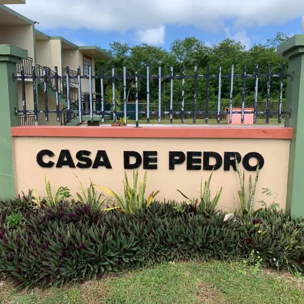 Entire Private Villa- Casa De Pedro、Mangilaoのホテル