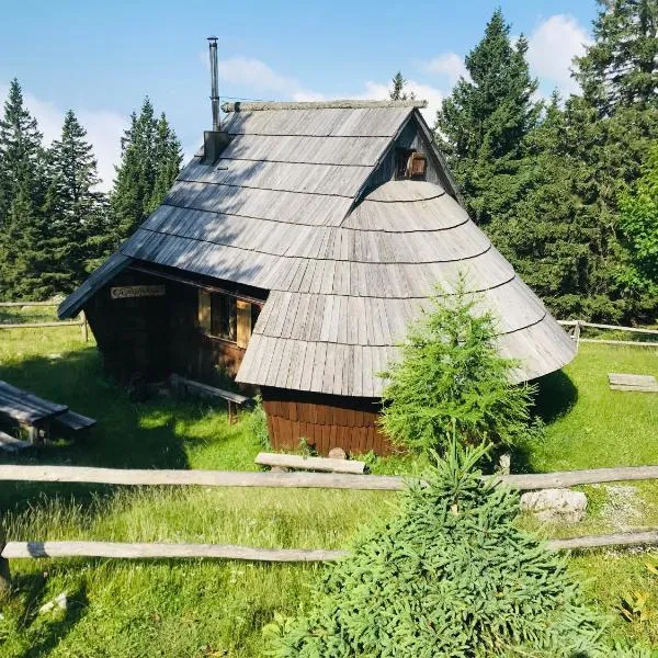 Chalet Gasparjeva Velika Planina、カムニークのホテル