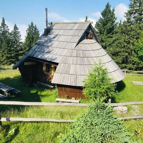 Chalet Gasparjeva Velika Planina: Kamnik şehrinde bir otel