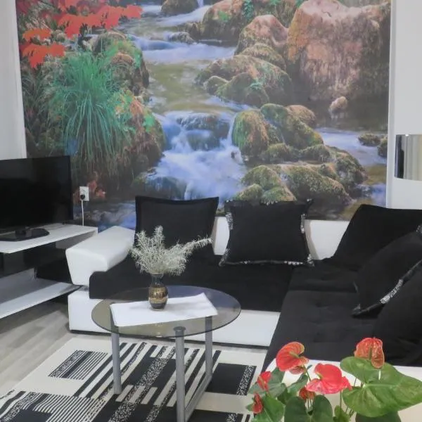 Guest House Pavlovic, hotel in Soko Banja