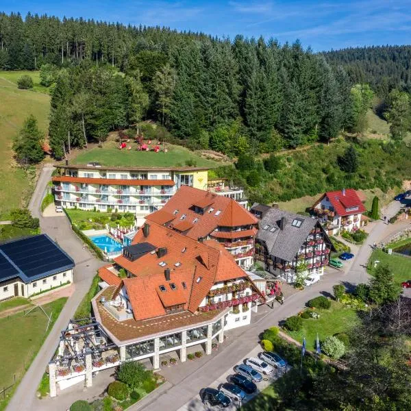 Naturparkhotel Adler, hotell i Wolfach