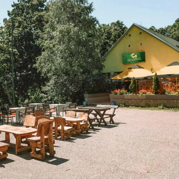 Zmajevac Fruska Gora，Jazak的飯店