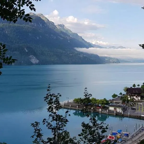 Francy, hótel í Brienz