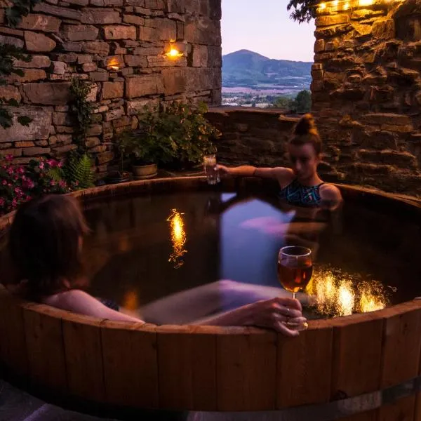 O Chardinet d'a Formiga, hotel v destinaci Aínsa
