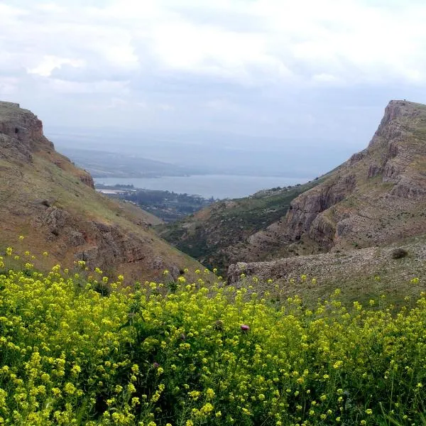 Arbel Holiday Homes, hotel u gradu Arbel