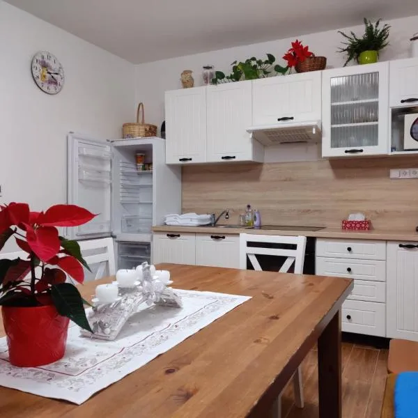 Apartmán pod Božím Darem, hótel í Jáchymov