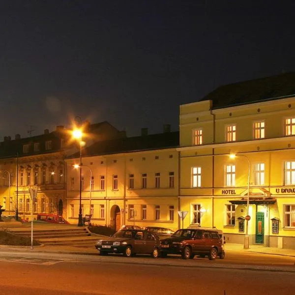 CORNER HOTEL U DIVADLA*** - ZNOJMO, hotel u gradu Znojmo