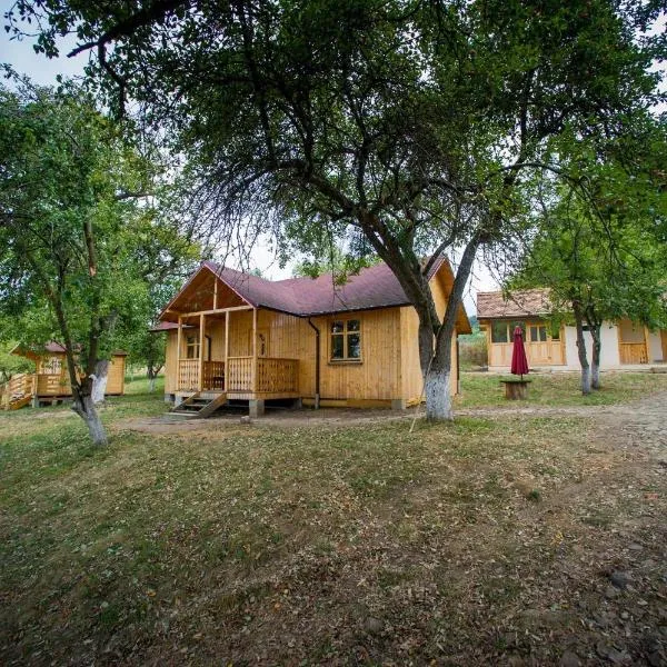 Jugendzentrum Seligstadt, hotel in Retişu