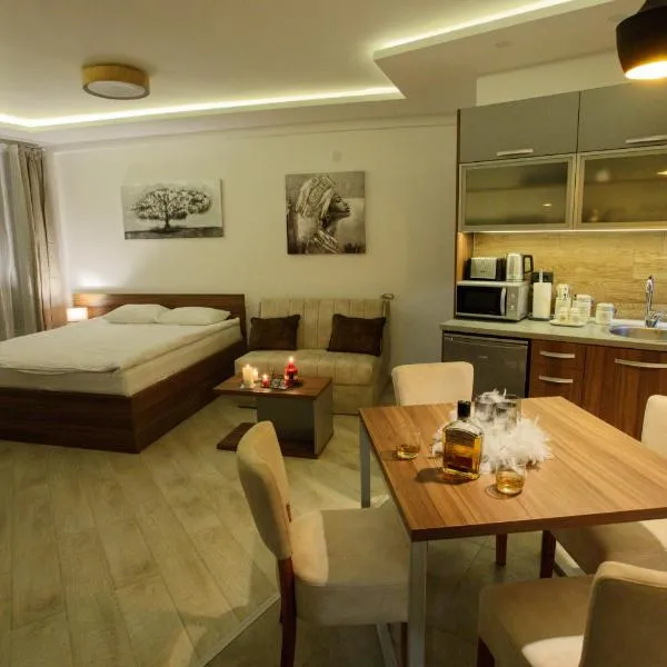 Apartman BIG Milmari S19, hotel in Kopaonik