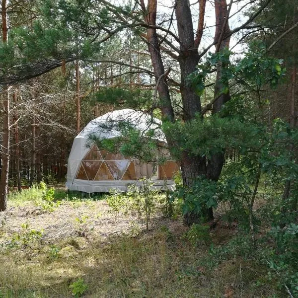 Glamping Drzwi Do Lasu, hotel v destinaci Supraśl