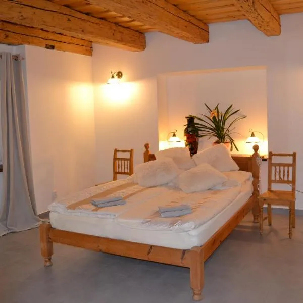 chalupa na Samotě s vířivkou, hotel in Tábor