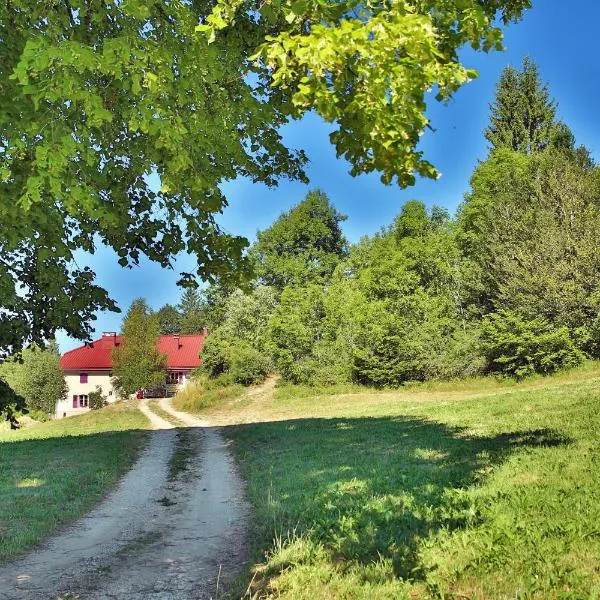 Ch'tit Jura, hotel u gradu 'Les Moussières'