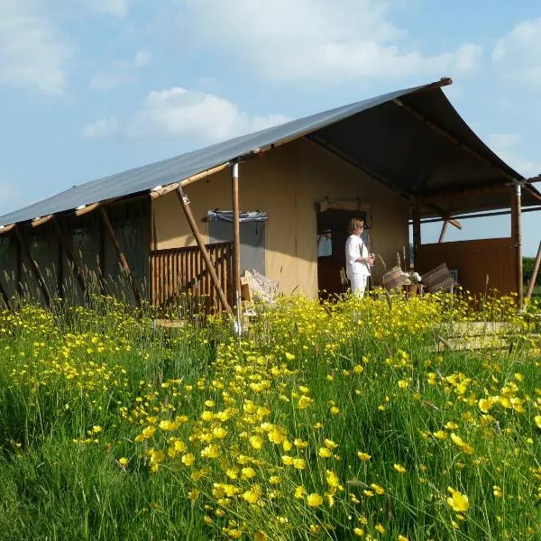 Tall Trees Glamping, hotel v destinaci Baltonsborough