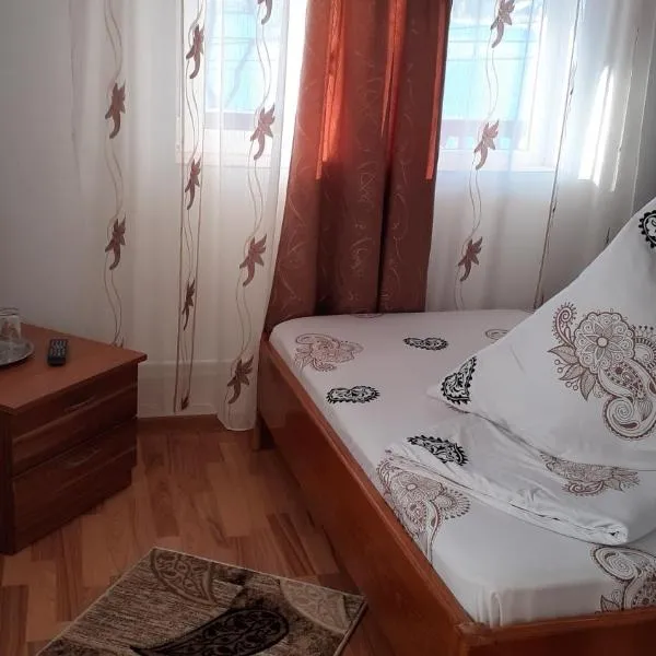 Casa Nicoleta, hotel v destinaci Hura-Humora
