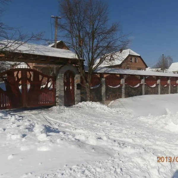 Karpatskiy Domyk, hotel in Izki