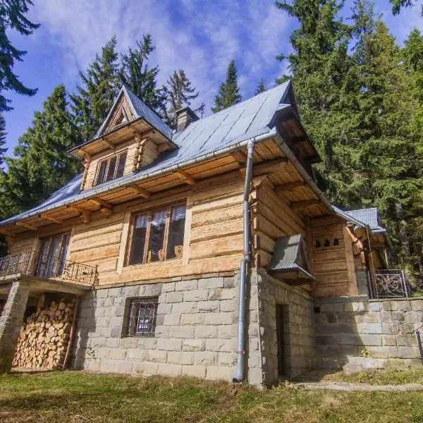Chata pod Bukiem 1, hotel v destinaci Kościelisko