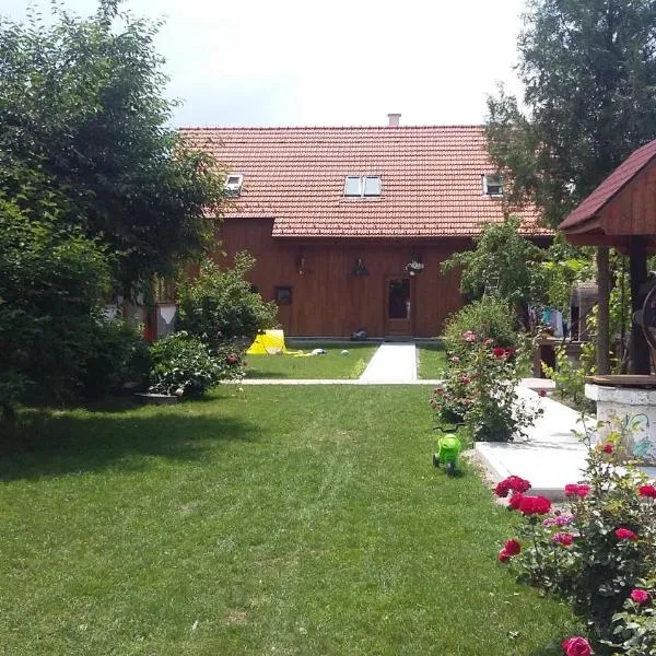 Albinuta Guesthouse, hotel in Valea Dobîrlăului