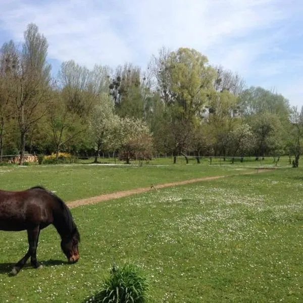La Pierre Levée, hotell i Montigny-sur-Loing