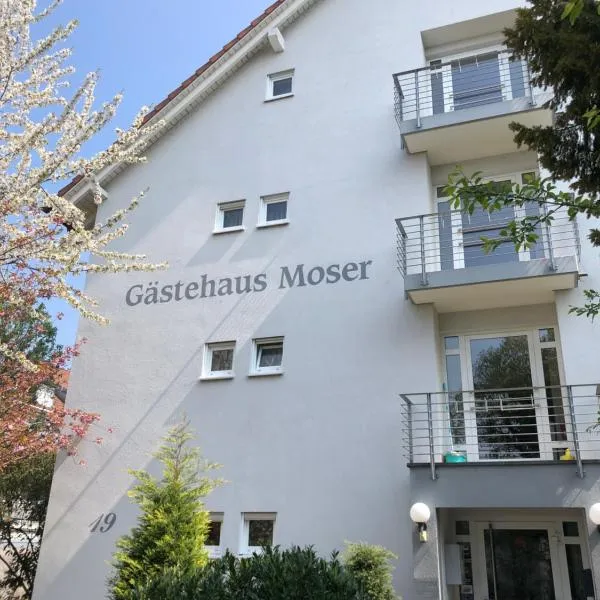 Gästehaus Moser, hotel v mestu Weil am Rhein