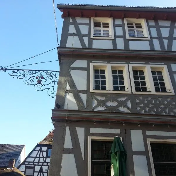 Hotel Blaues Haus, hotell i Münchweiler an der Alsenz