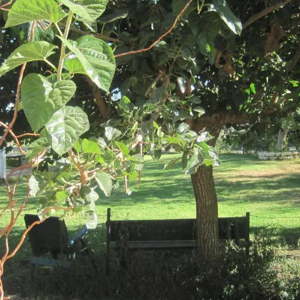 The House By The Mulberry Tree, hotel in Neve Ilan