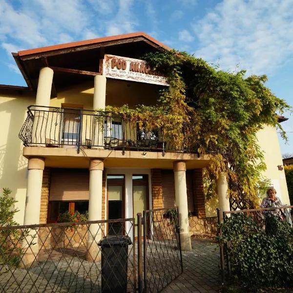 Pokoje i Apartamenty Pod Akacjami, hotel v destinaci Malbork