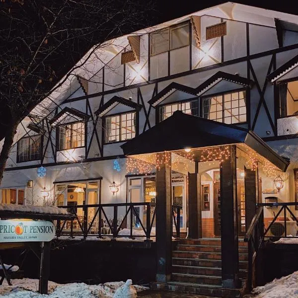 Apricot Pension, Hotel in Hakuba