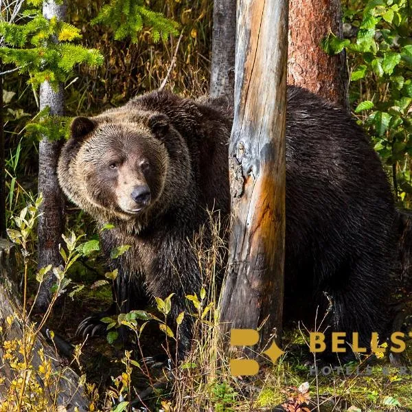 Palliser Lodge — Bellstar Hotels & Resorts, hotel v destinaci Golden
