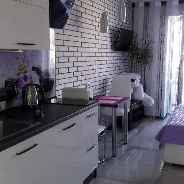 Апартаменты. Холодная гора, ул. Дудинской 1а., hotel in Kharkiv
