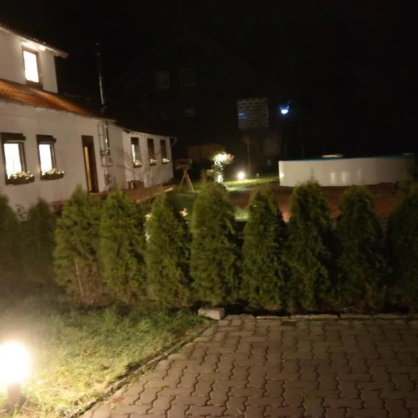 Ferienwohnung Haus Zeier, hotel in Hahnenklee-Bockswiese