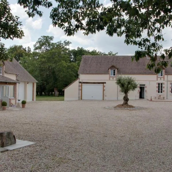 Gite de Villaine, hotel em Theillay