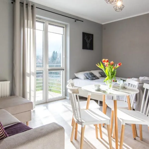 Apartamenty Izerskie - ul. Cicha 13F-G, hotel v destinaci Świeradów-Zdrój