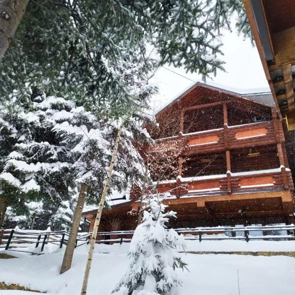 Шаленарозі, hotel v destinaci Mihove