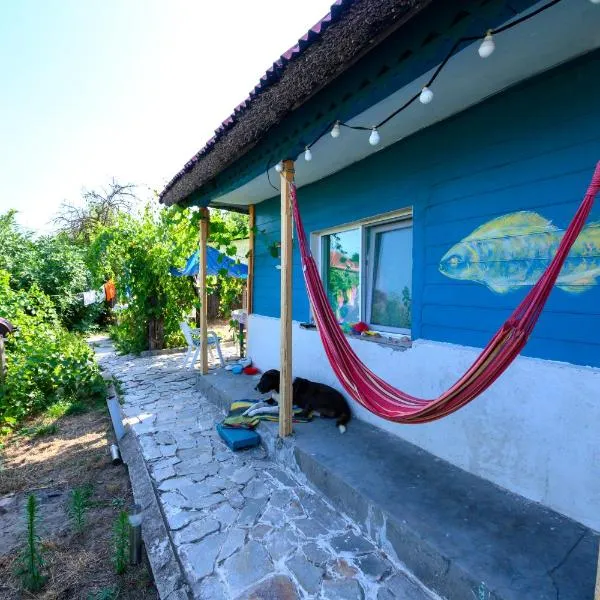 술리나에 위치한 호텔 Danube Delta Hostel Homestay & Camping