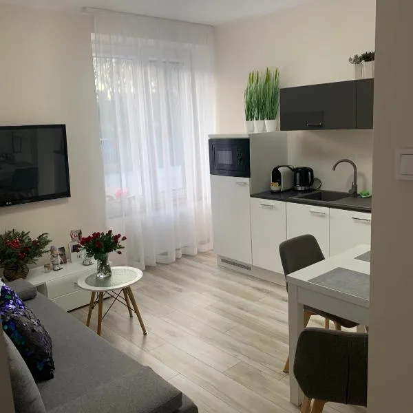 Apartament Walczaka 11 MIEJSCE PARKINGOWE, מלון בגוז'וב ווילקופולסקי