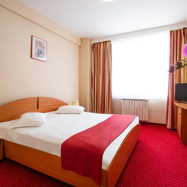 Hotel Dana, khách sạn ở Satu Mare