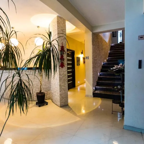 Pensiunea Bradului, hotel v destinaci Colibiţa