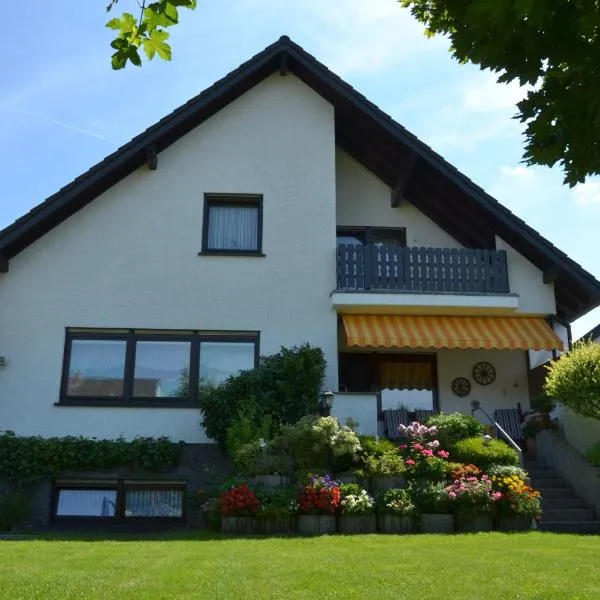 Ferienwohnung Heinen, hotel in Andernach
