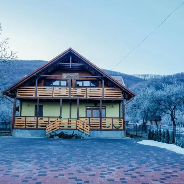Villa Med'OK, hotel in Vyzhnytsya