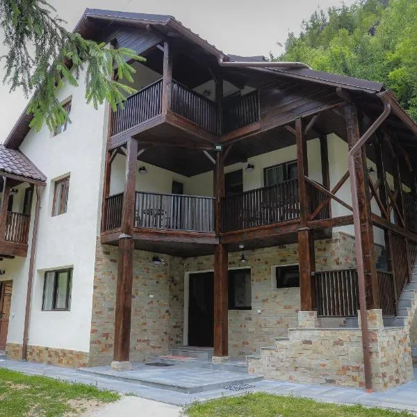 Pensiunea Cheile Albacului, hotel in Albac