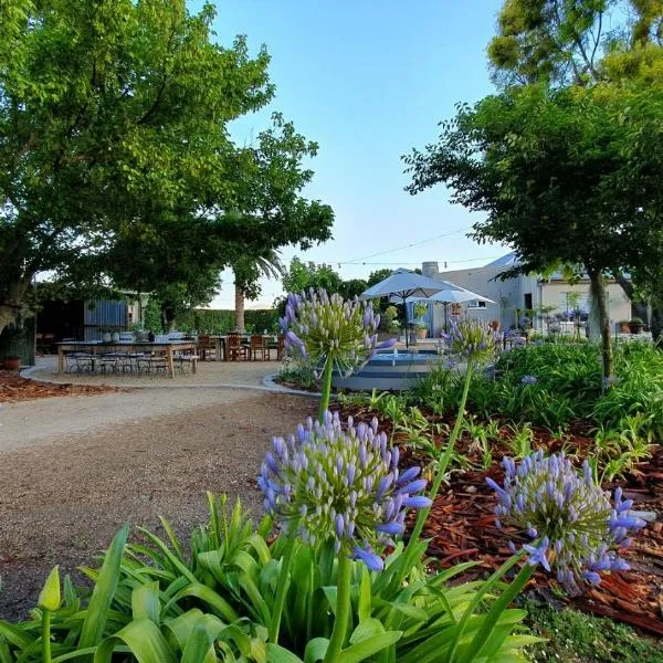 PicardiPlace, hotel v destinaci Rawsonville