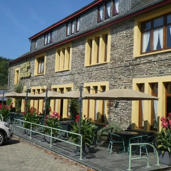 Hotel Des Roches, hotel in Sainte-Cécile
