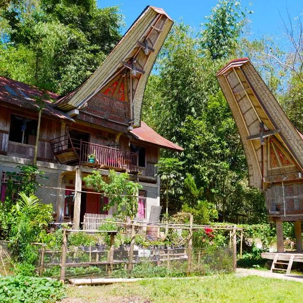 Ne Pakku Manja Family Home, hotel a Rantepao