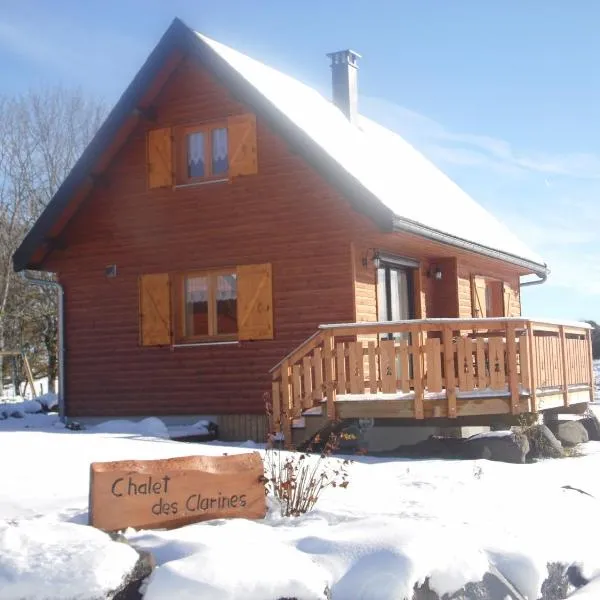 Chalet des Clarines, hotel in Saint-Genès-Champespe