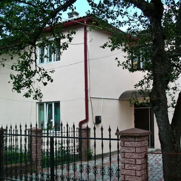 Хостел в Карпатах, hotel in Yasinya