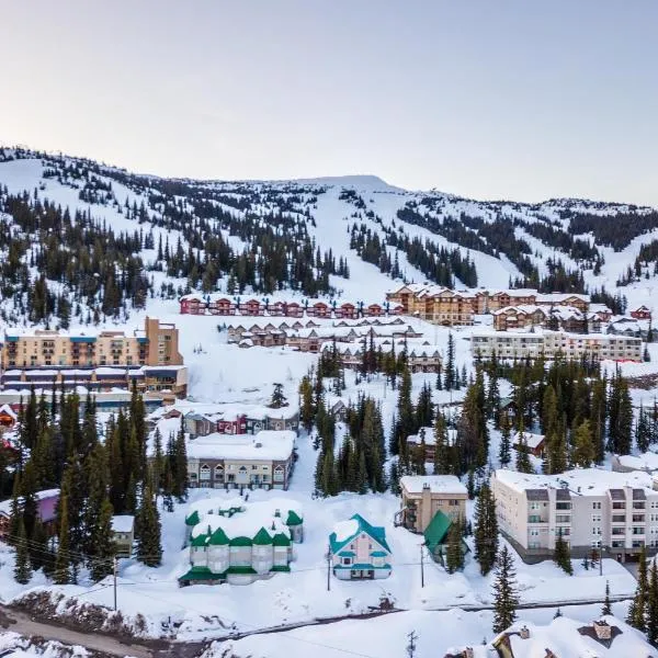 Raven 104，位于大白山的酒店