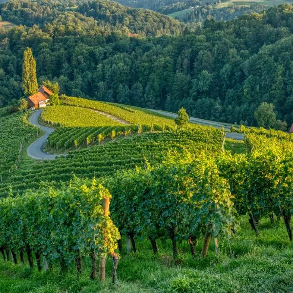 Turistična kmetija Dreisiebner, hotel a Šentilj