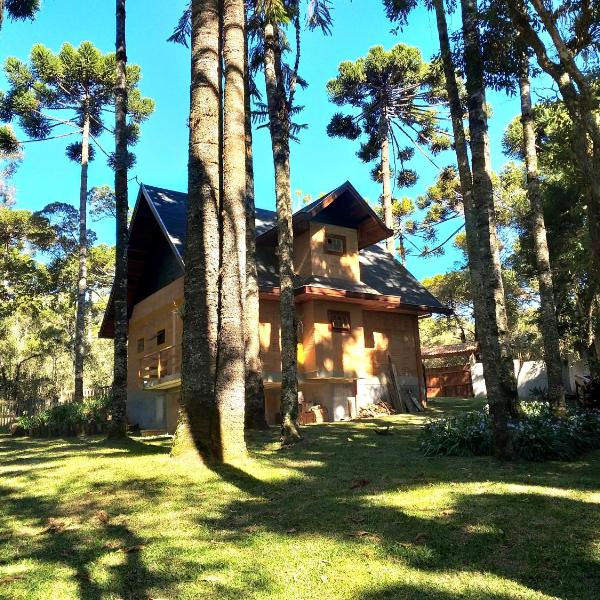 Bosque das Araucárias