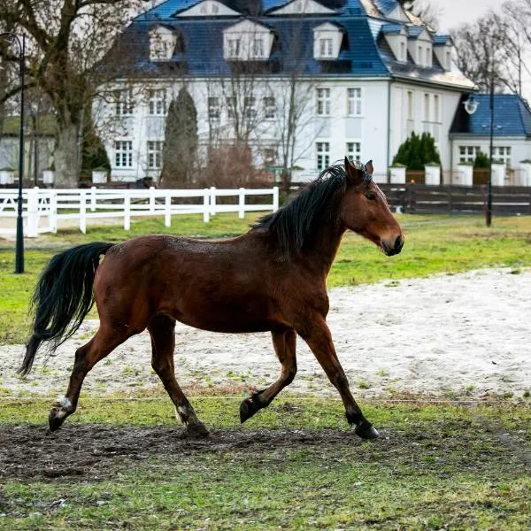 Rancho Ulinia koło Łeby – hotel w mieście Ulinia